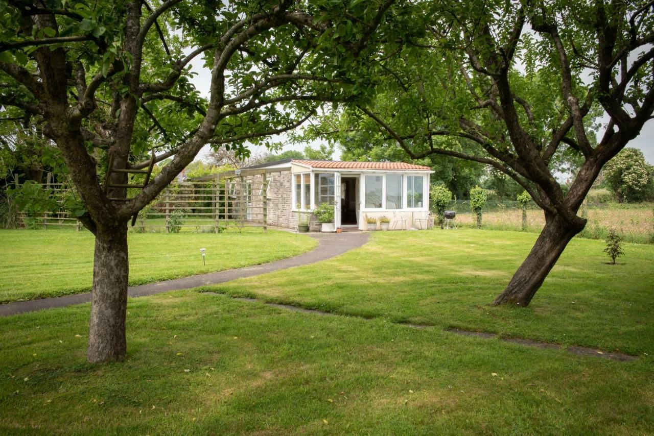 The Studio Somerton  Esterno foto